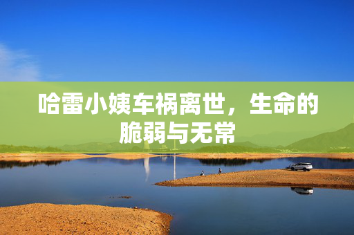 哈雷小姨车祸离世，生命的脆弱与无常