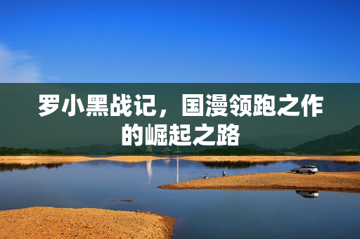 罗小黑战记，国漫领跑之作的崛起之路