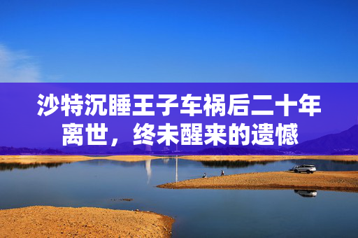 沙特沉睡王子车祸后二十年离世，终未醒来的遗憾