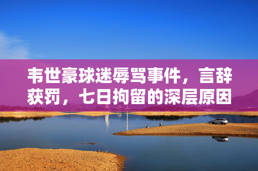 韦世豪球迷辱骂事件，言辞获罚，七日拘留的深层原因