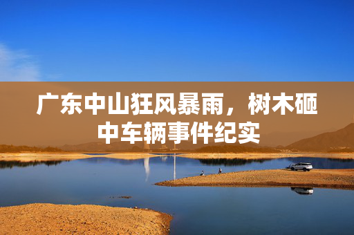 广东中山狂风暴雨，树木砸中车辆事件纪实