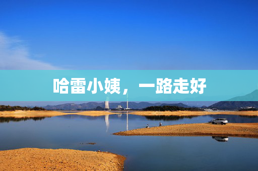 哈雷小姨，一路走好