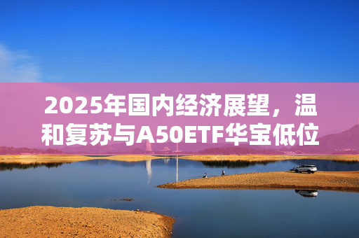 2025年国内经济展望，温和复苏与A50ETF华宝低位配置的双重机遇