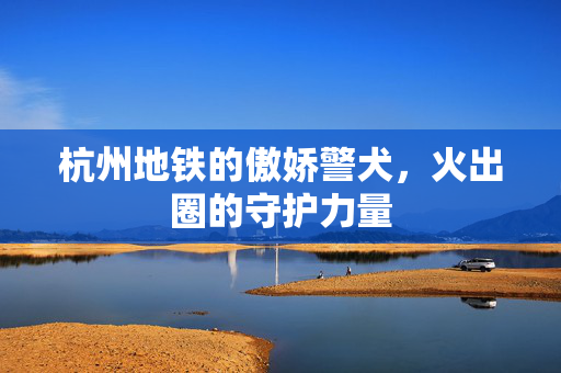 杭州地铁的傲娇警犬，火出圈的守护力量