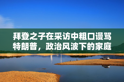 拜登之子在采访中粗口谩骂特朗普，政治风波下的家庭情感纠葛