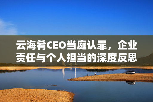 云海肴CEO当庭认罪，企业责任与个人担当的深度反思