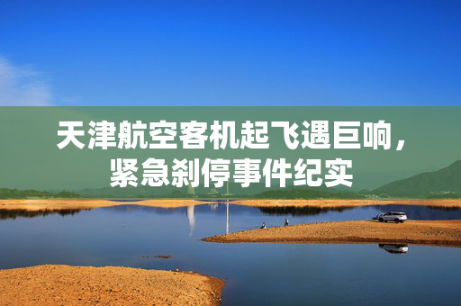 天津航空客机起飞遇巨响，紧急刹停事件纪实