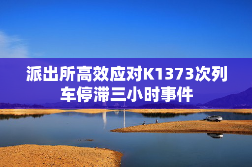 派出所高效应对K1373次列车停滞三小时事件