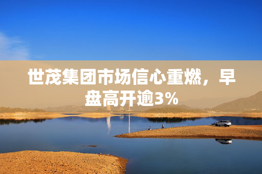 世茂集团市场信心重燃，早盘高开逾3%