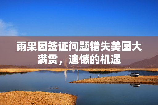 雨果因签证问题错失美国大满贯，遗憾的机遇