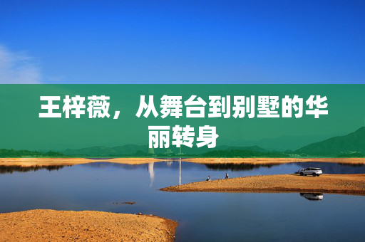 王梓薇，从舞台到别墅的华丽转身