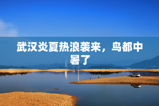 武汉炎夏热浪袭来，鸟都中暑了