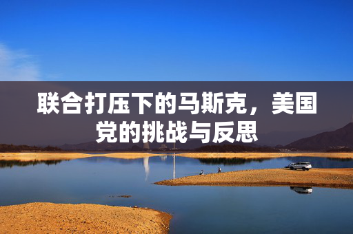 联合打压下的马斯克，美国党的挑战与反思