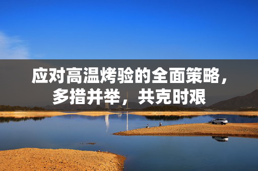 应对高温烤验的全面策略，多措并举，共克时艰
