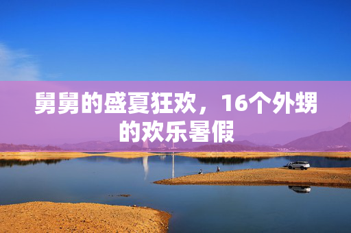 舅舅的盛夏狂欢，16个外甥的欢乐暑假
