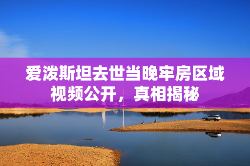 爱泼斯坦去世当晚牢房区域视频公开，真相揭秘