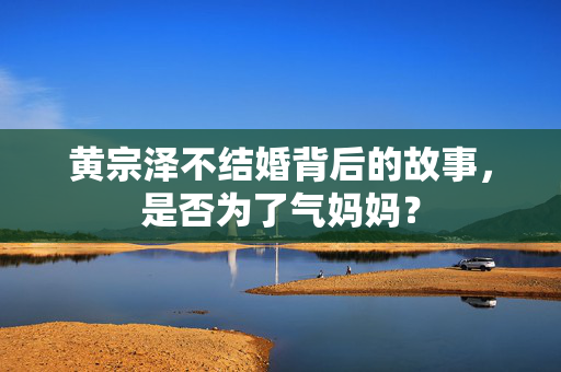 黄宗泽不结婚背后的故事，是否为了气妈妈？