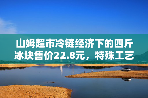 山姆超市冷链经济下的四斤冰块售价22.8元，特殊工艺的冰品经济