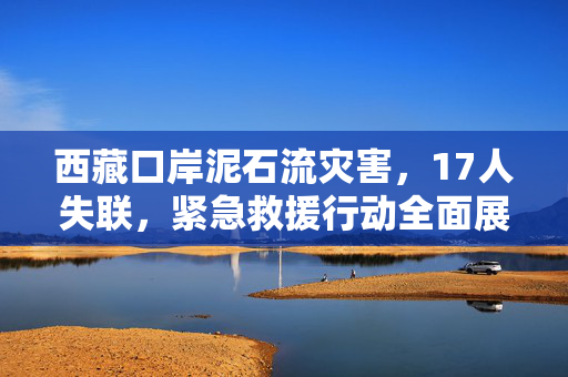 西藏口岸泥石流灾害，17人失联，紧急救援行动全面展开