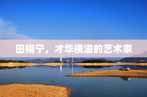 田栩宁，才华横溢的艺术家