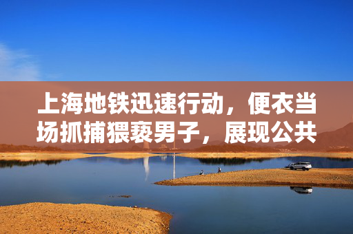 上海地铁迅速行动，便衣当场抓捕猥亵男子，展现公共交通治安新气象