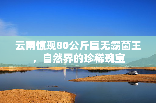 云南惊现80公斤巨无霸菌王，自然界的珍稀瑰宝