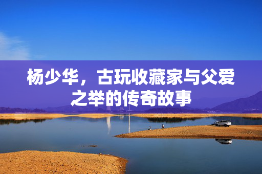 杨少华，古玩收藏家与父爱之举的传奇故事