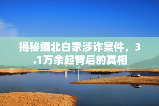 揭秘缅北白家涉诈案件，3.1万余起背后的真相