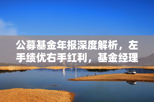 公募基金年报深度解析，左手绩优右手红利，基金经理的向上重估策略