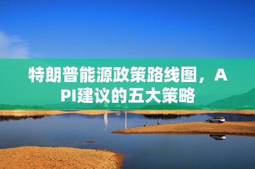 特朗普能源政策路线图，API建议的五大策略