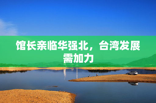 馆长亲临华强北，台湾发展需加力