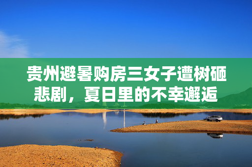 贵州避暑购房三女子遭树砸悲剧，夏日里的不幸邂逅