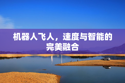 机器人飞人，速度与智能的完美融合