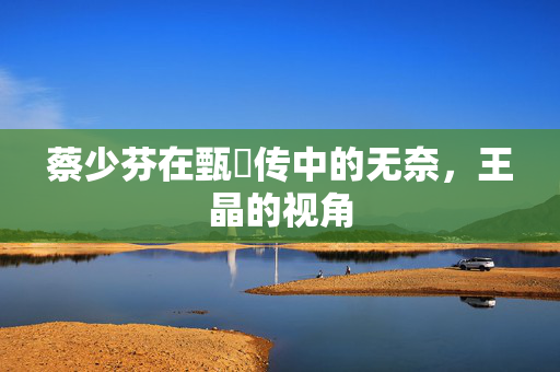蔡少芬在甄嬛传中的无奈，王晶的视角