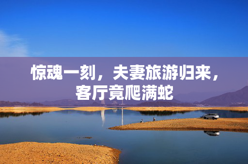 惊魂一刻，夫妻旅游归来，客厅竟爬满蛇
