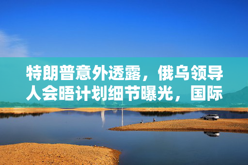 特朗普意外透露，俄乌领导人会晤计划细节曝光，国际局势再添变数