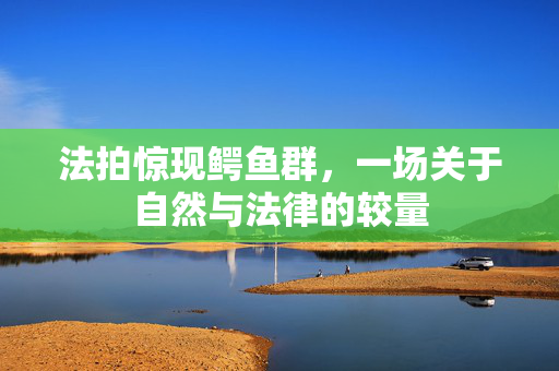 法拍惊现鳄鱼群，一场关于自然与法律的较量