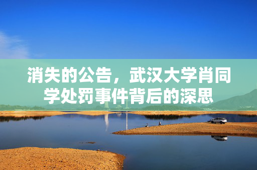 消失的公告，武汉大学肖同学处罚事件背后的深思