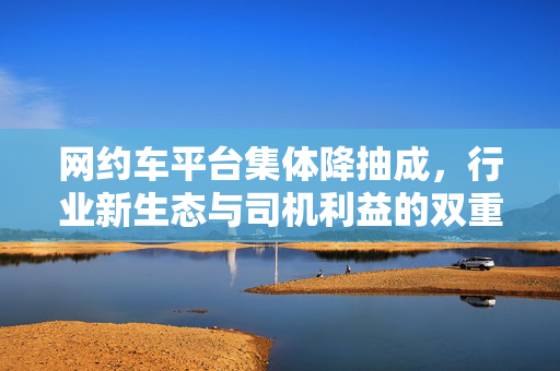 网约车平台集体降抽成，行业新生态与司机利益的双重考量