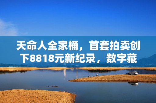 天命人全家桶，首套拍卖创下8818元新纪录，数字藏品市场的文化与经济双赢探索