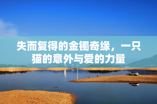 失而复得的金镯奇缘，一只猫的意外与爱的力量