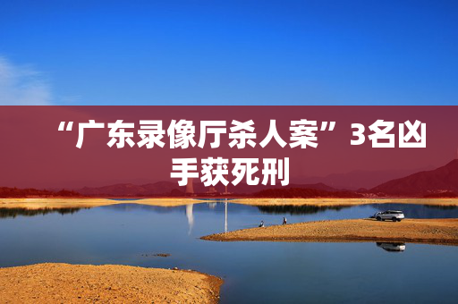 “广东录像厅杀人案”3名凶手获死刑