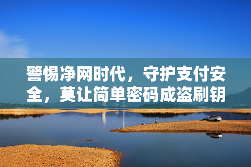 警惕净网时代，守护支付安全，莫让简单密码成盗刷钥匙