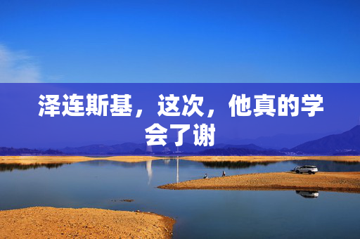泽连斯基，这次，他真的学会了谢