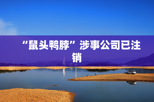 “鼠头鸭脖”涉事公司已注销