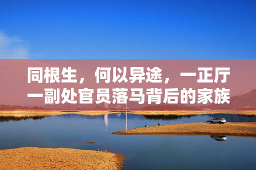 同根生，何以异途，一正厅一副处官员落马背后的家族与权力之谜