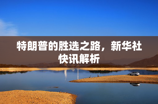 特朗普的胜选之路，新华社快讯解析