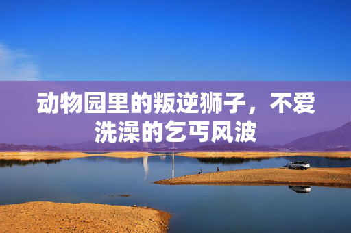 动物园里的叛逆狮子，不爱洗澡的乞丐风波
