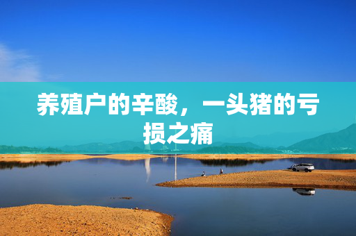 养殖户的辛酸，一头猪的亏损之痛