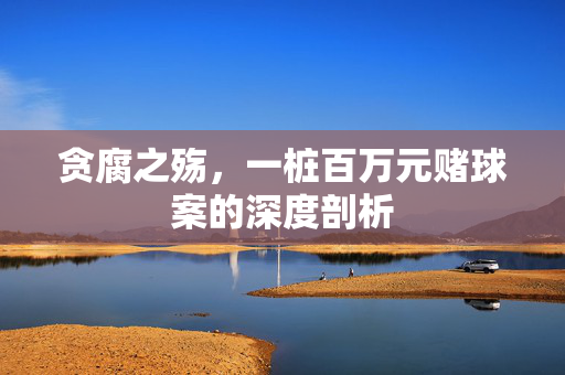 贪腐之殇，一桩百万元赌球案的深度剖析
